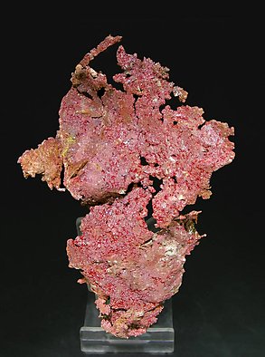 Cuprite (Chalcotrichite) with Copper. Rear