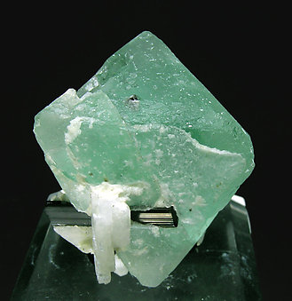 Octahedral Fluorite with Schorl and Albite. Rear