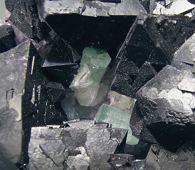 Octahedral Fluorite with Bertrandite and Fluorapatite. 