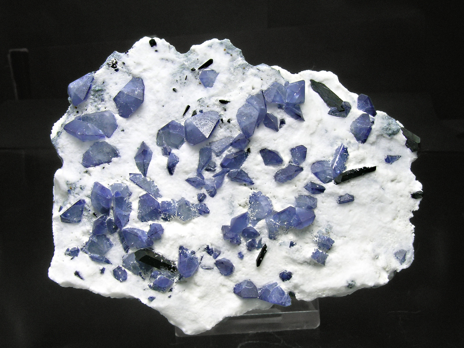 specimens/s_imagesM6/Benitoite-AH46M6f.jpg