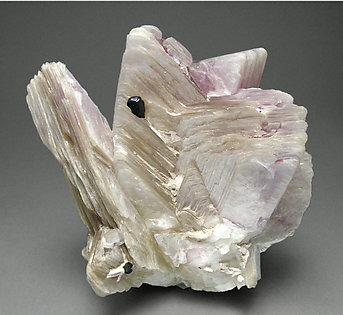 Tantalite-(Mn) with 'lepidolite'. 