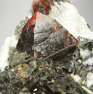 Zircon with Calcite and Muscovite. 