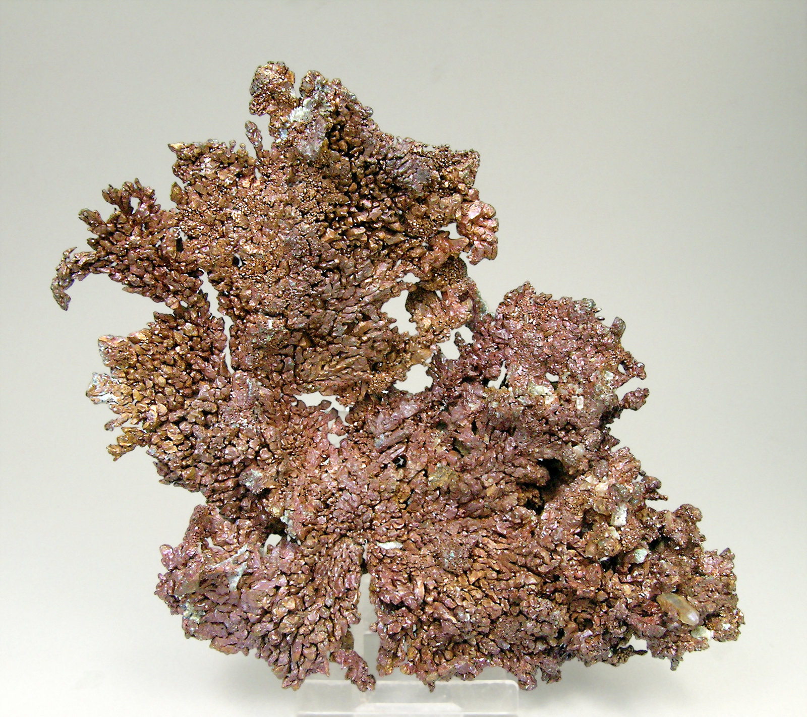 specimens/s_imagesN4/Copper-ER37N4f.jpg