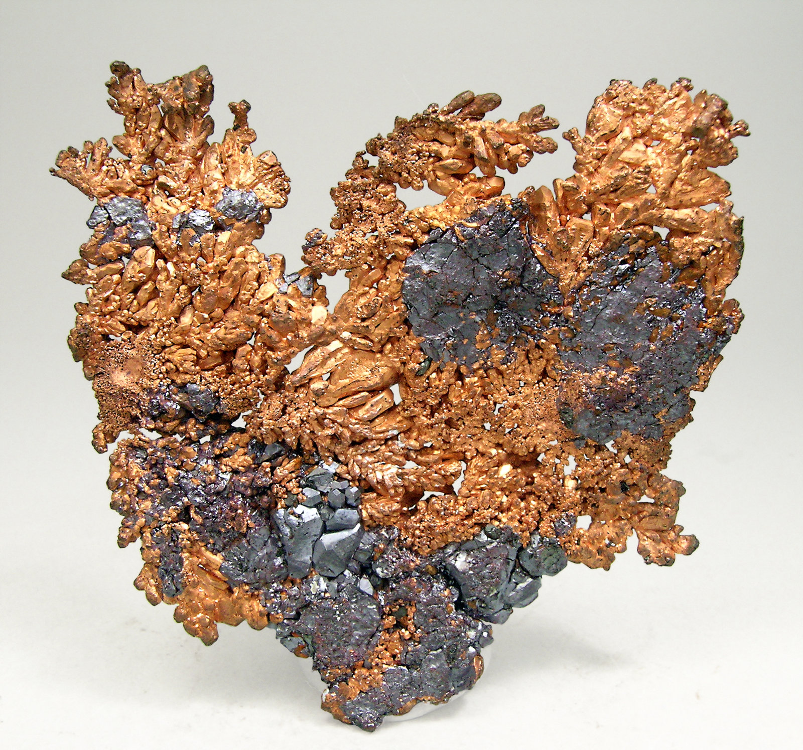 specimens/s_imagesN6/Copper-AV47N6r.jpg