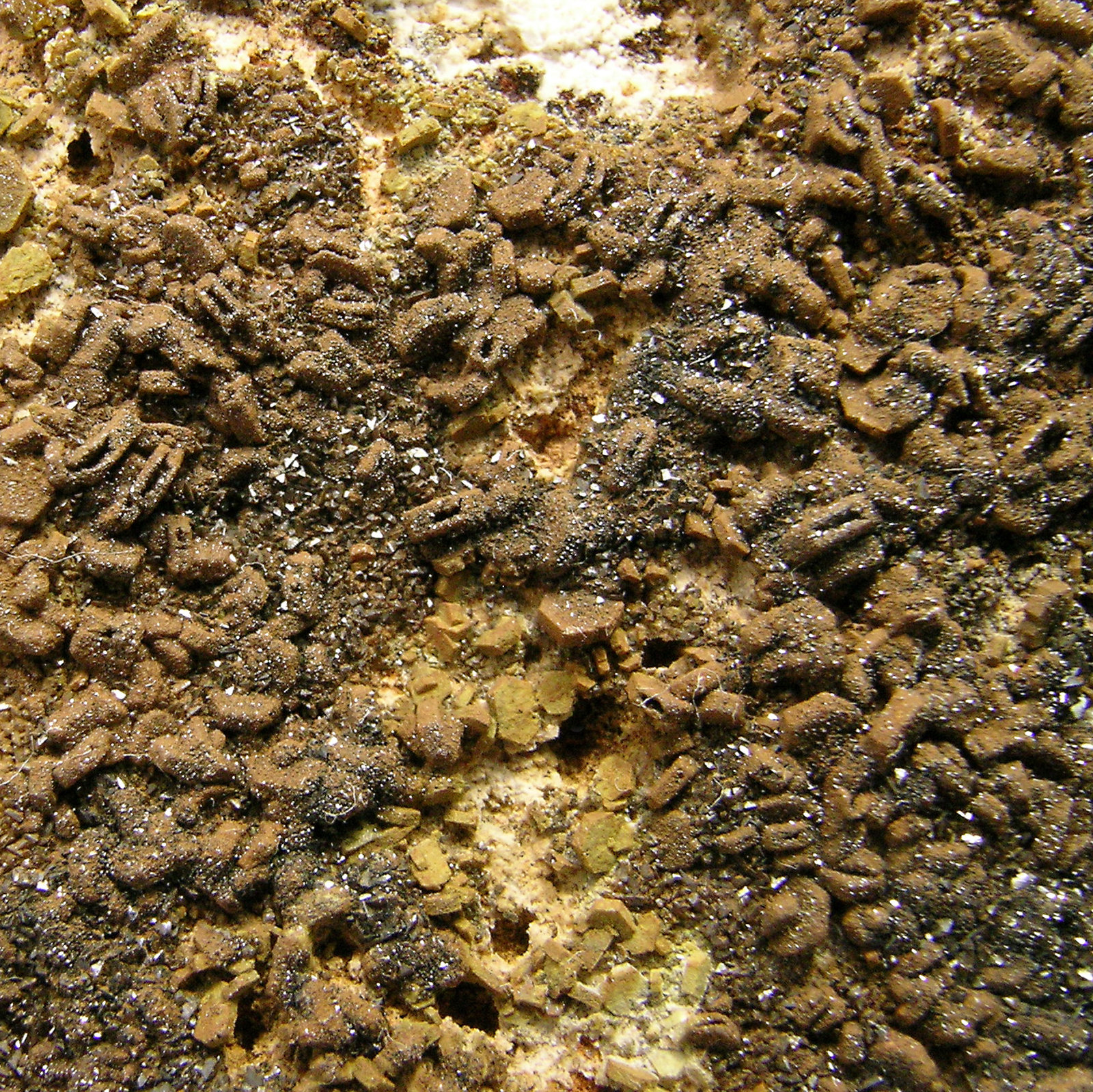 specimens/s_imagesN7/Descloizite_after_Vanadinite-NX10N7d.jpg