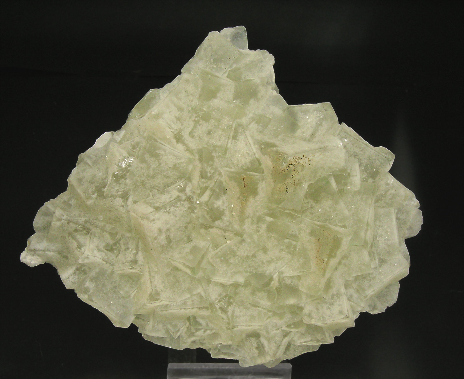 specimens/s_imagesP1/Fluorite-RM14P1f.jpg