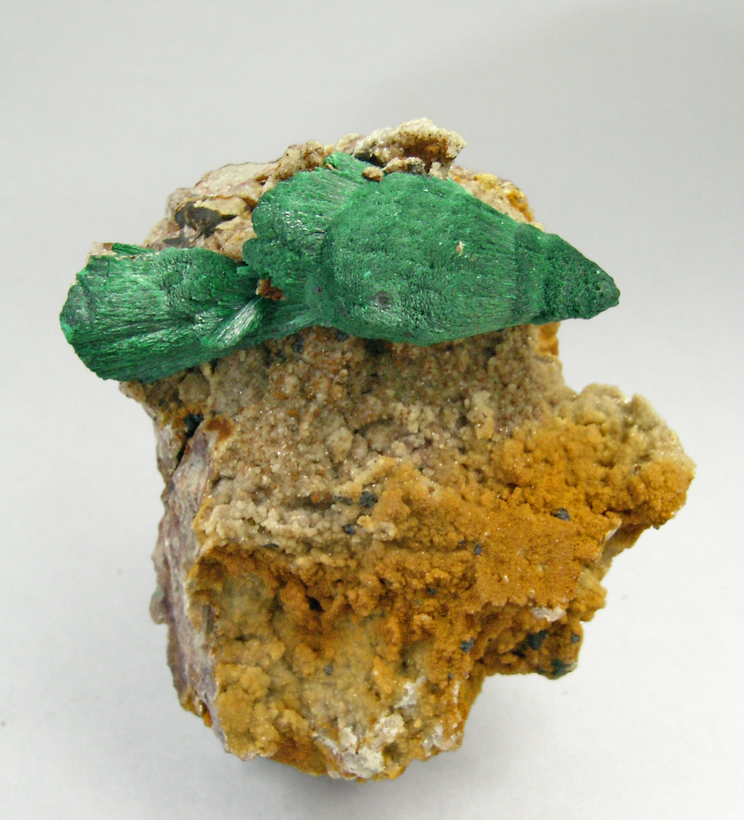specimens/s_imagesP9/Malachite-NP26P9.jpg