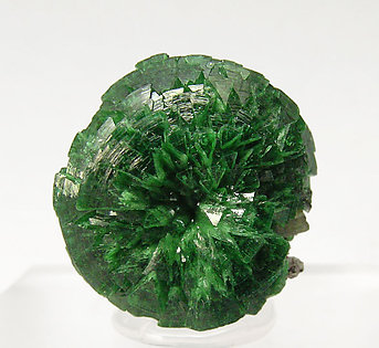 Adamite (variety cuprian) with Wulfenite. Front
