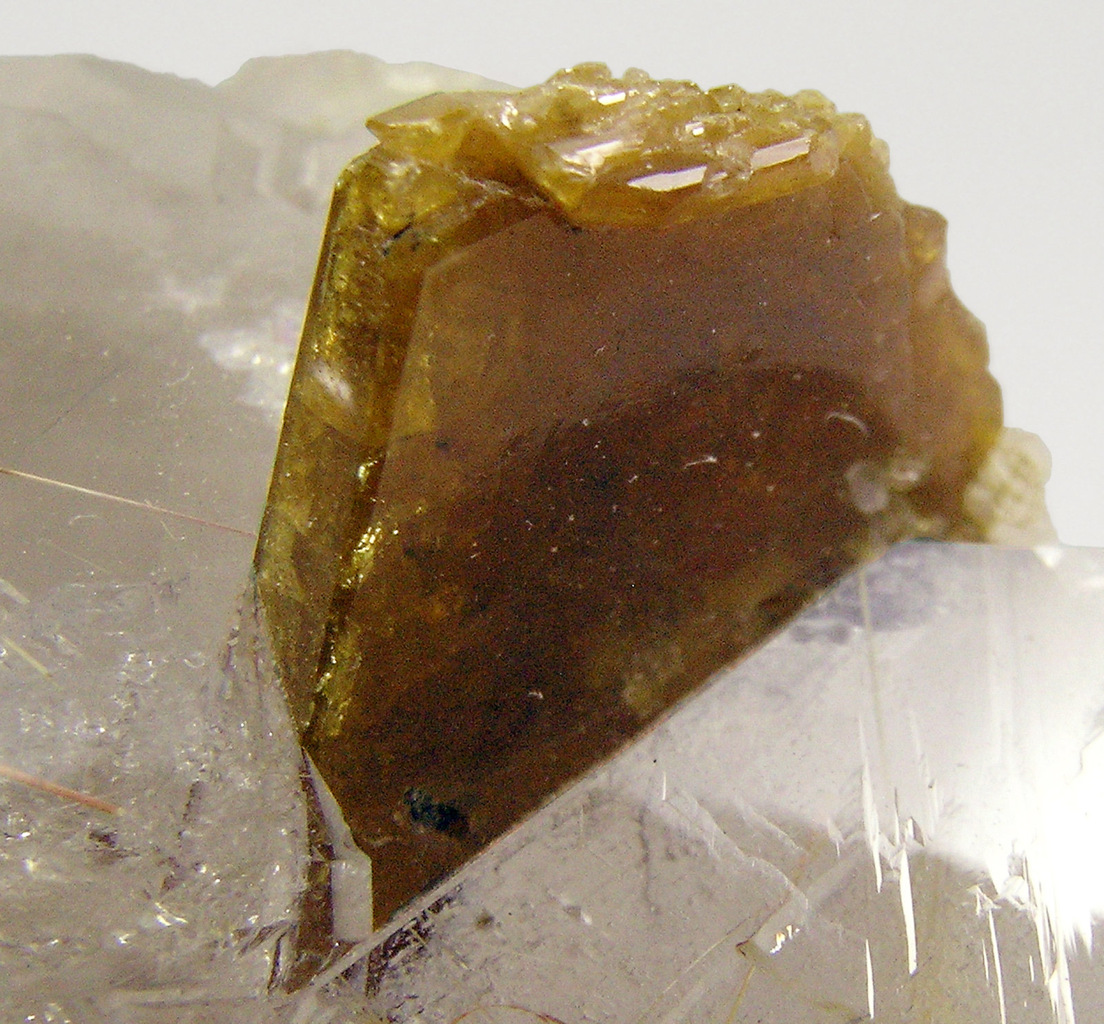 specimens/s_imagesQ7/Smoky_quartz-TN54Q7d3.jpg