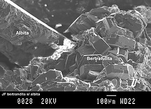 Fluorapatito con Bertrandita, Albita, Moscovita y Cuarzo. Microscopio electrnico