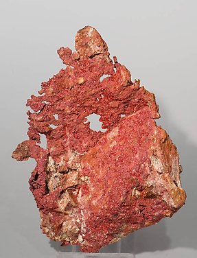Cuprite (Chalcotrichite) with Copper. Front