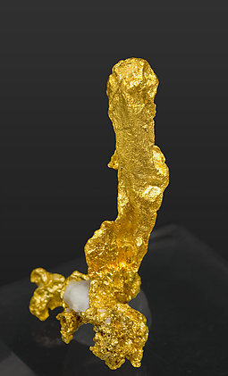 Oro nativo con Cuarzo. Vista lateral