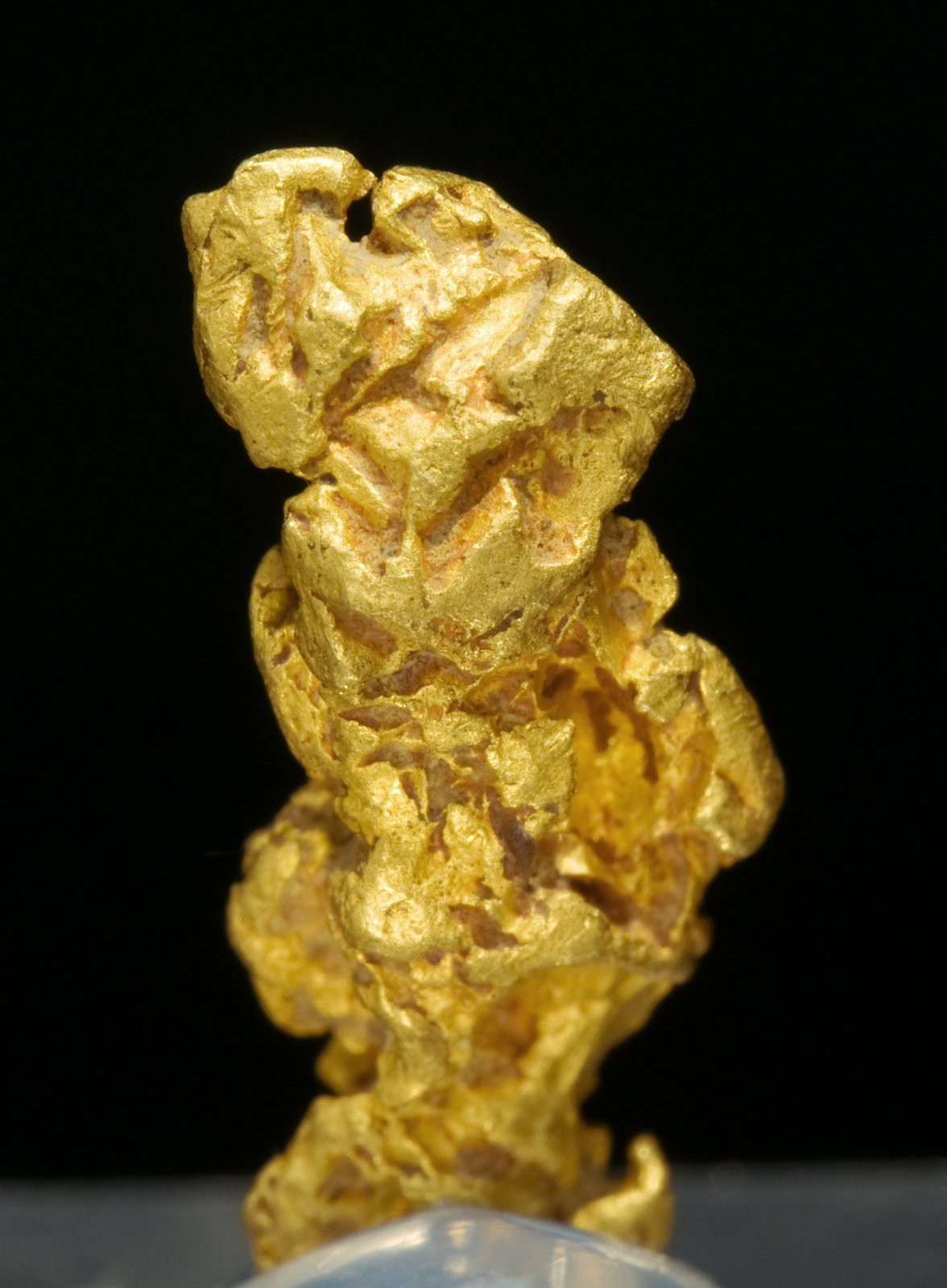 specimens/s_imagesS1/Gold-NA27S1r.jpg