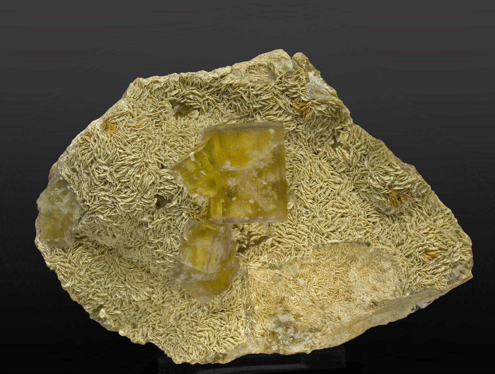specimens/s_imagesS5/Fluorite-FA86S5f.jpg