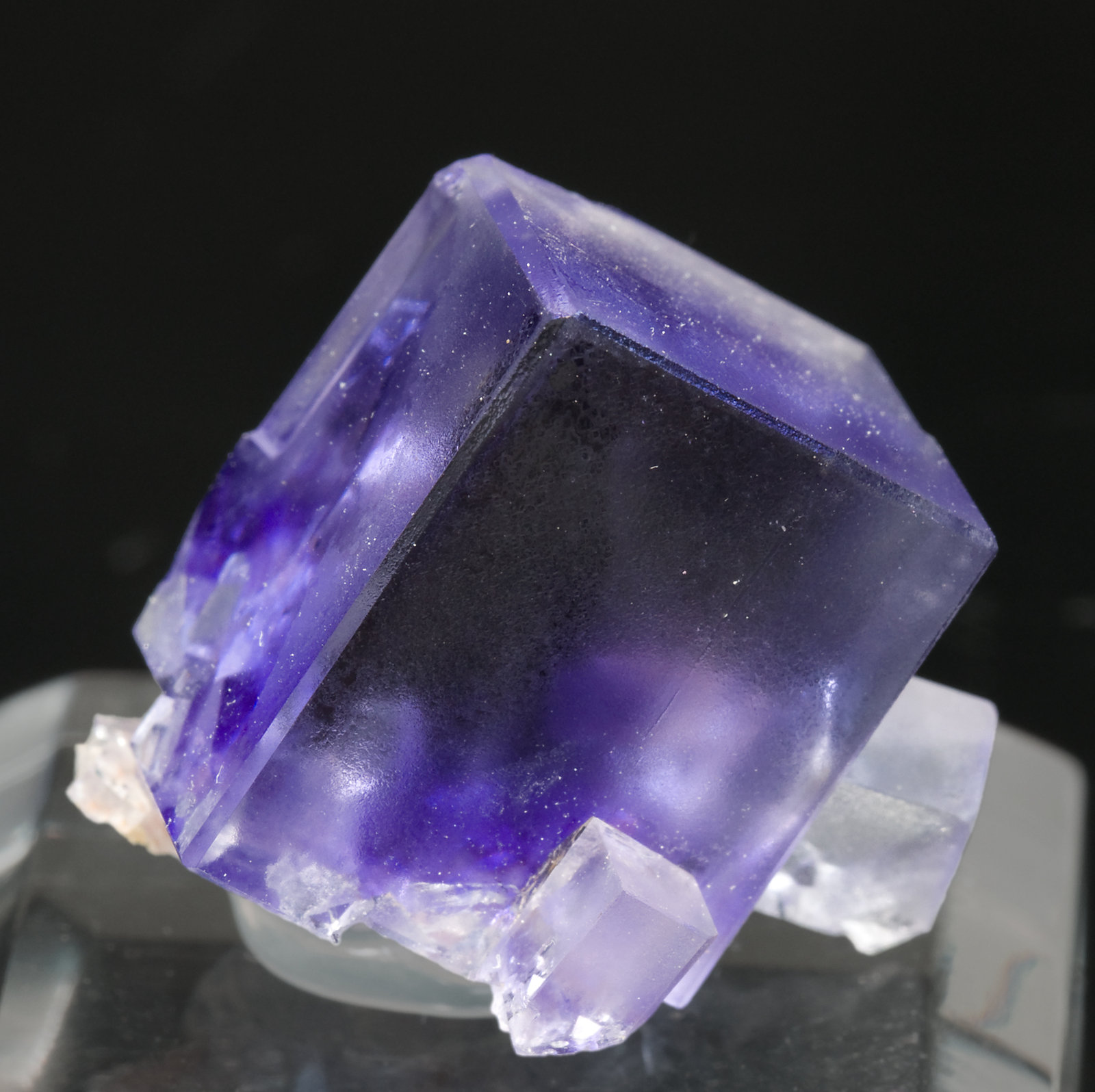 specimens/s_imagesS9/Fluorite-NP26S9.jpg