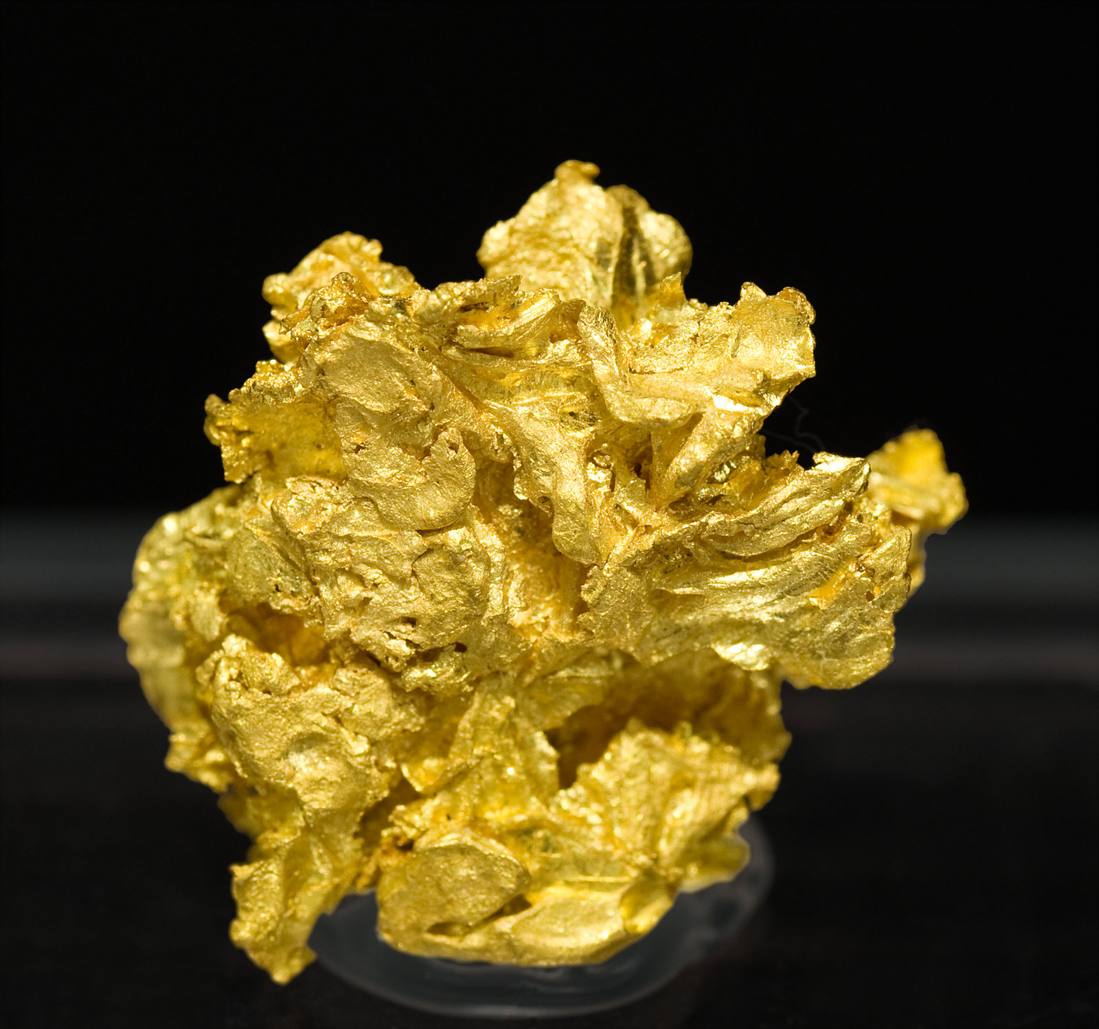 specimens/s_imagesT2/Gold-MB70T2f.jpg