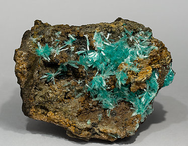 Aurichalcite - Mineral specimens search results - Fabre ...