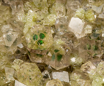 Grossular (variety hessonite) with Diopside. 