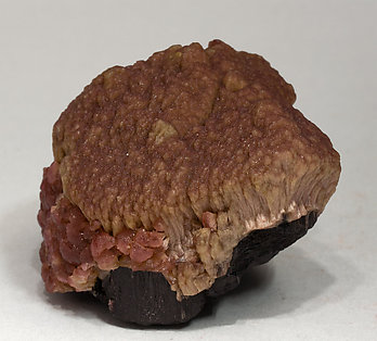Elbaite (variety rubellite) on Schorl. Side