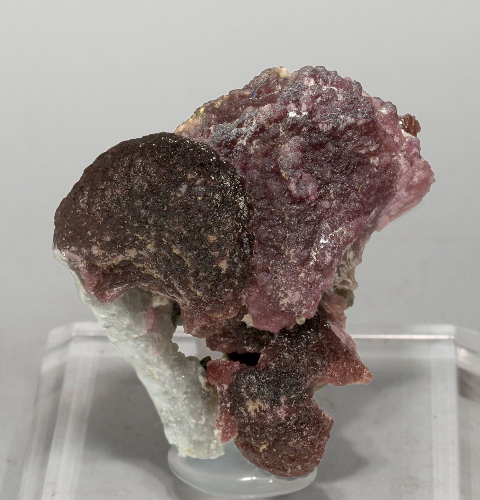 specimens/s_imagesV7/Elbaite-TQ37V7.jpg
