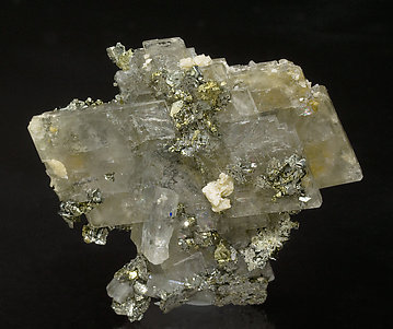 Baryte with Marcasite, Chalcopyrite and Siderite. 