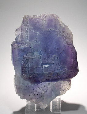 Fluorite with Chalcopyrite inclusions. Light behind