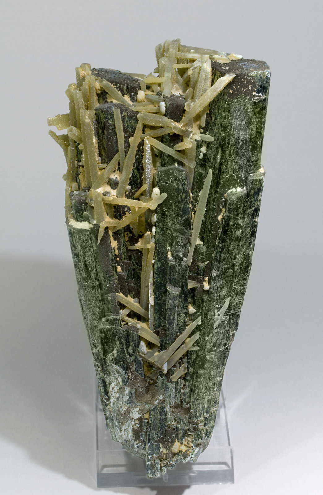 specimens/s_imagesW5/Hedenbergite-MF97W5r.jpg