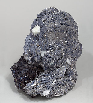 Lllingite with Molybdenite, Scheelite, Fluorite and Magnetite. Front
