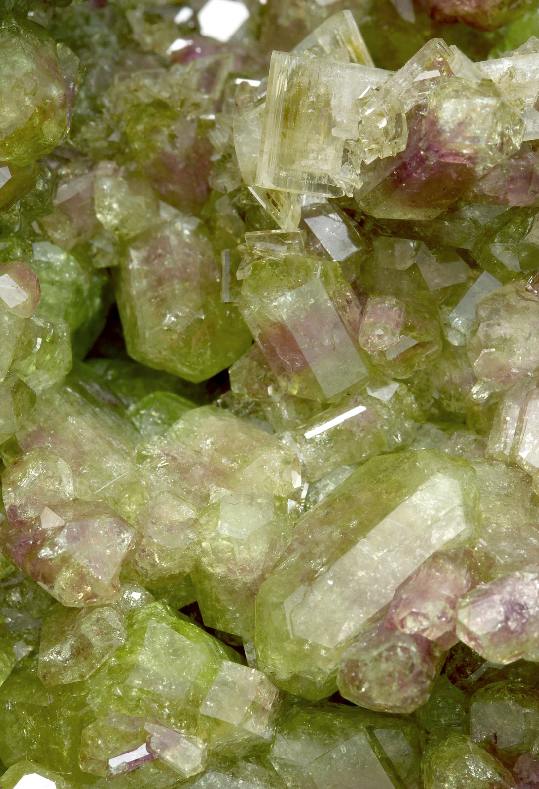 specimens/s_imagesY0/Diopside-MH90Y0d2.jpg
