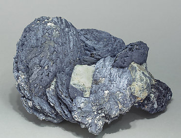 Lllingite with Molybdenite, Scheelite and Magnetite. Front