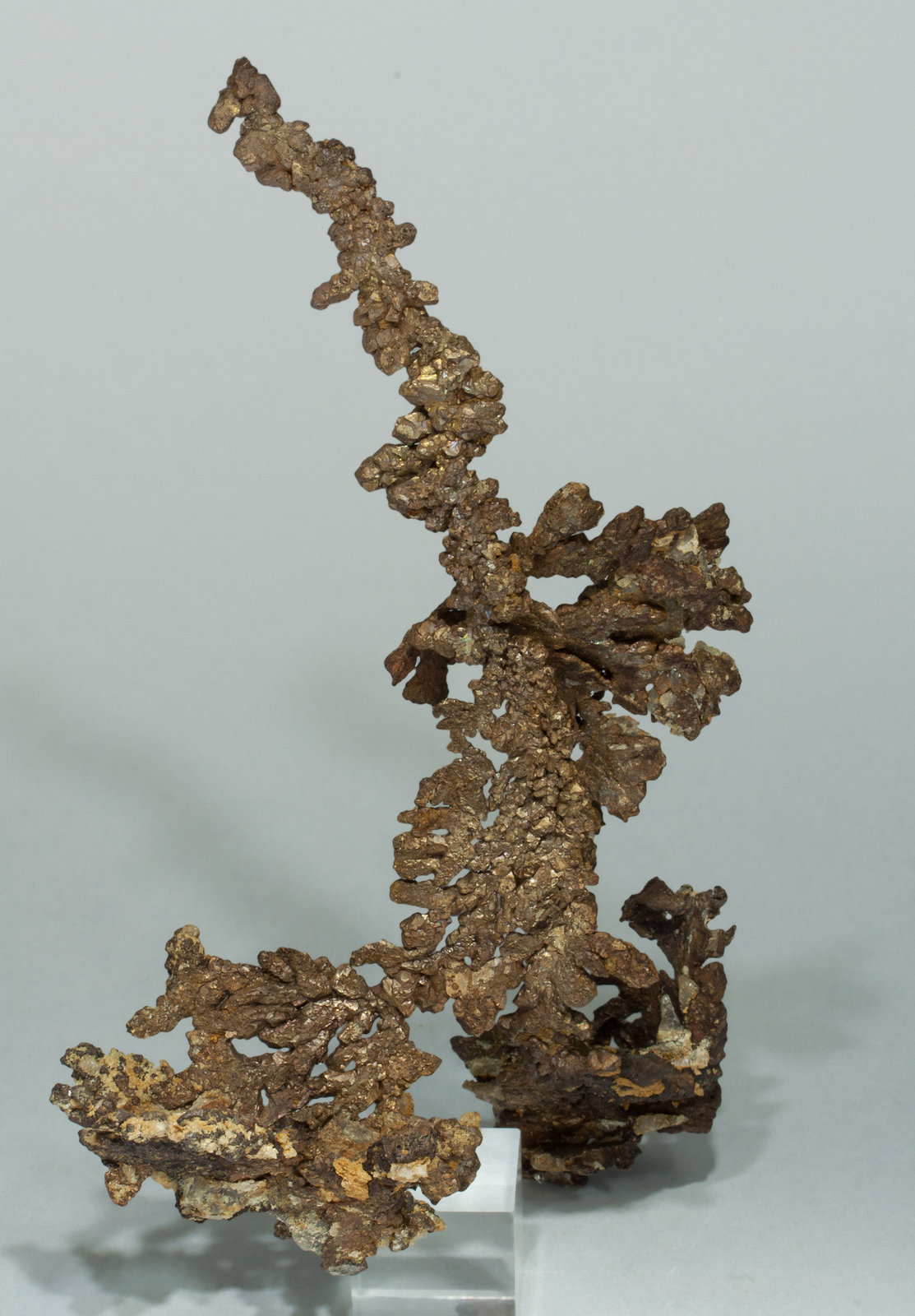specimens/s_imagesY9/Copper-VA47Y9f.jpg