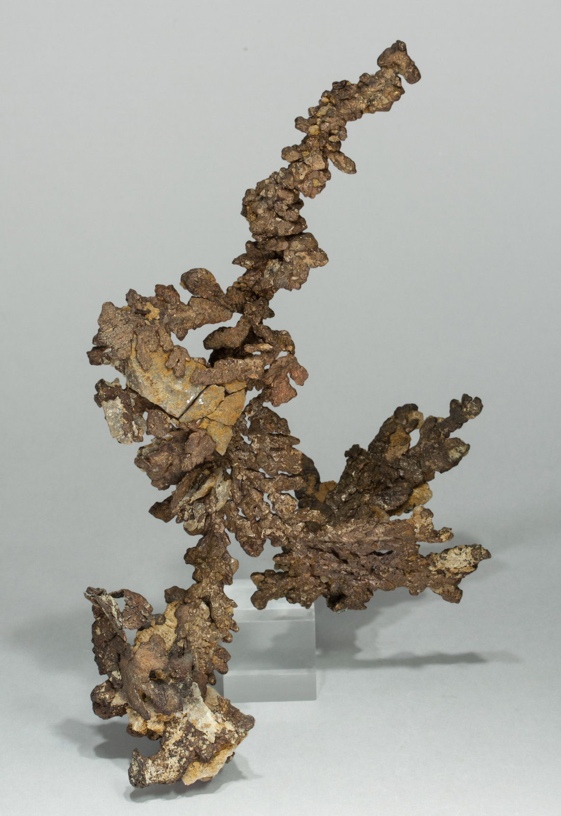 specimens/s_imagesY9/Copper-VA47Y9r.jpg