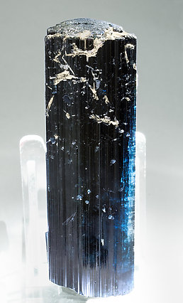 Elbaite (variety indicolite) with Fluorapatite. Light behind