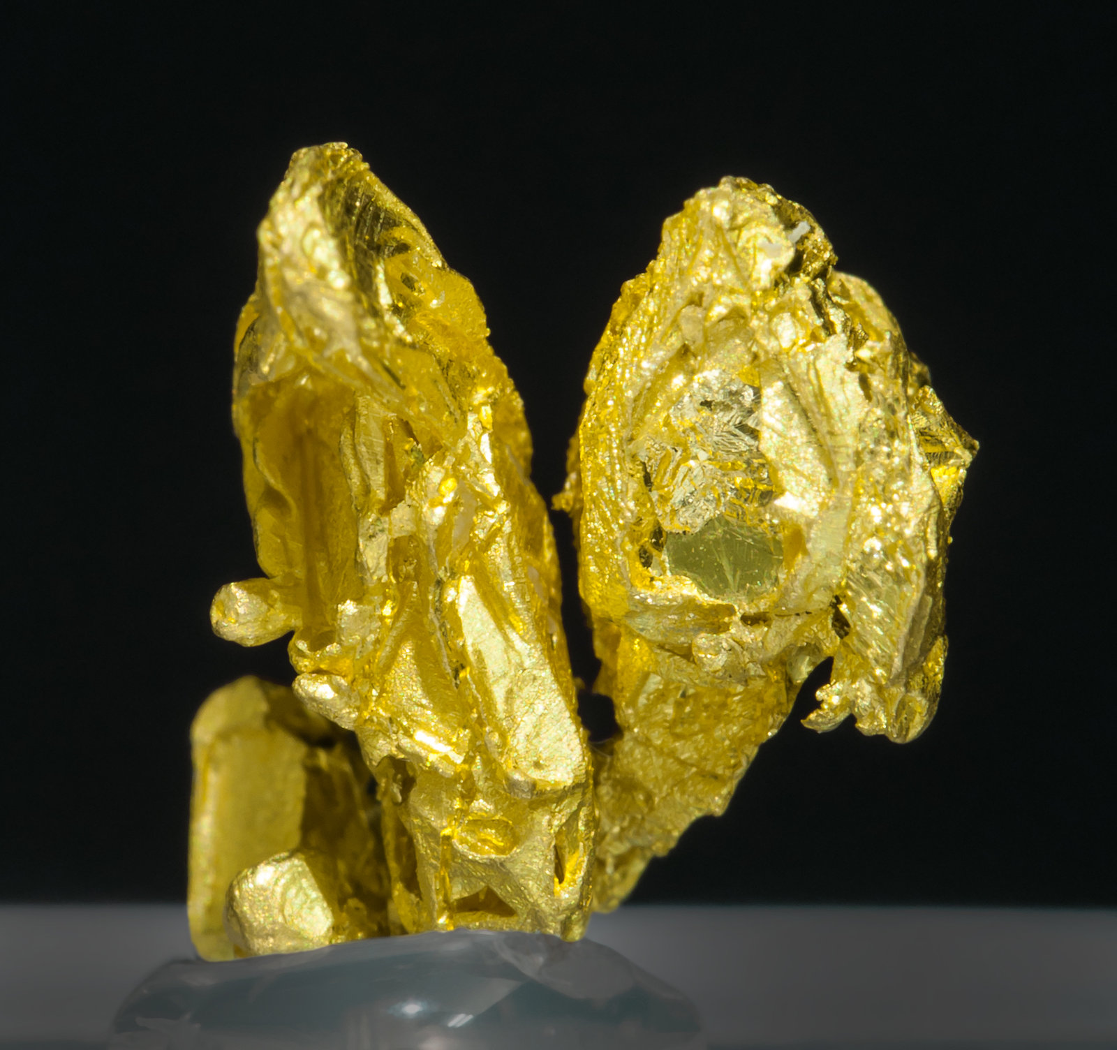 specimens/s_imagesZ7/Gold-TQ49Z7r.jpg