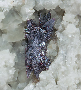 Pyrargyrite with Calcite. 