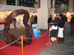 Expominer 2004