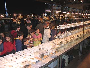 Mineralexpo 2006