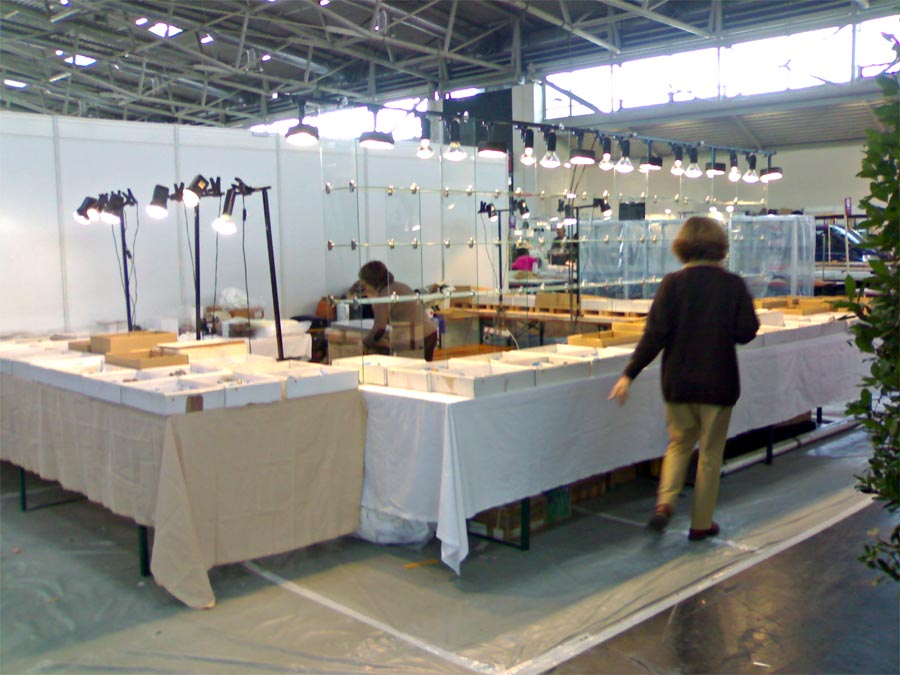 expo/Munich/2007/31102007299.jpg