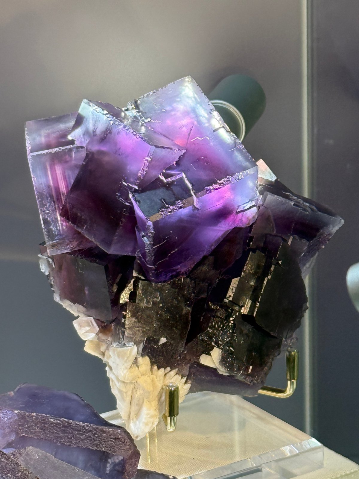 Feria de Munich 2025