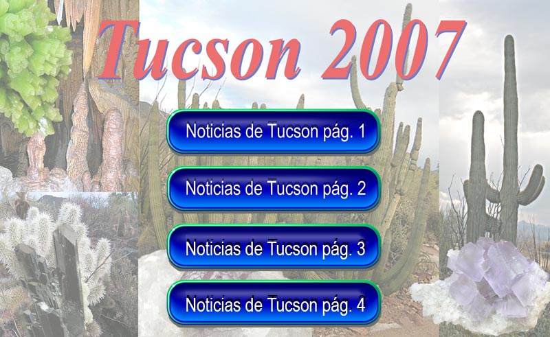 Tucson 2007