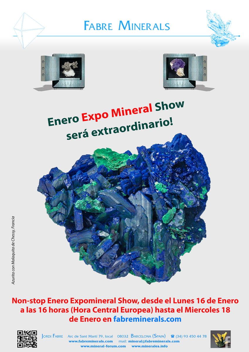 Expo Mineral Virtual 2023