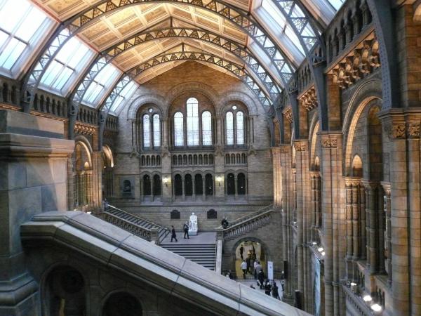 Museo de Historia Natural, Londres