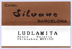 Etiqueta Silvane