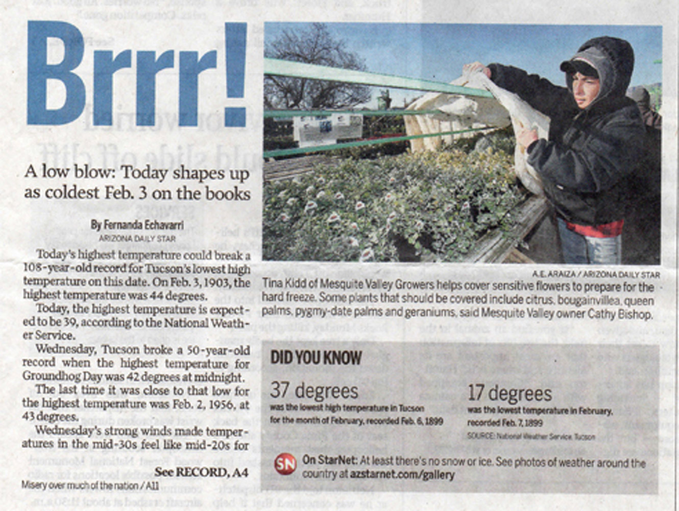 /include/Virtuals/AM5-T2021/AM5images/ASI/Arizona-Daily-Star-Brrr-2011.jpg