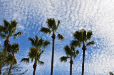 Clouds at the Tucson Sky - 2013