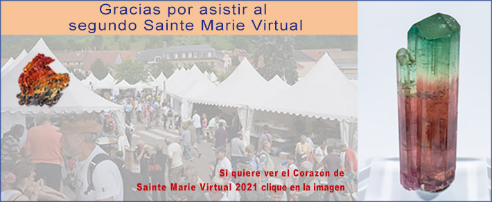 The Core of Ste. Marie Virtual 2021