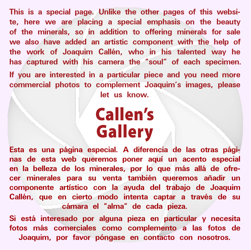 specimens//images/Joaquim_Callen_Gallery.png