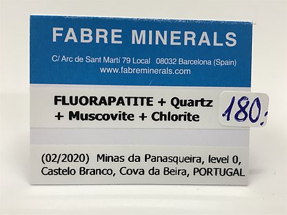 Fluorapatite with Quartz, Muscovite and Chlorite