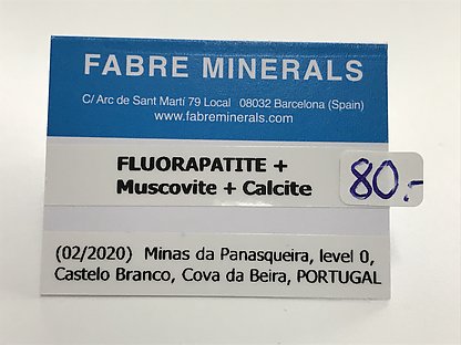 Fluorapatite with Muscovite and Calcite 