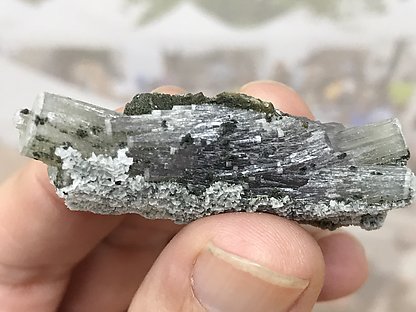Fluorapatite with Muscovite and Calcite .